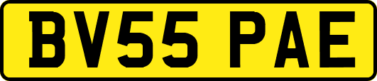 BV55PAE