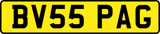 BV55PAG