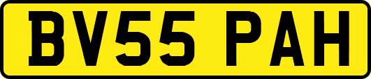 BV55PAH