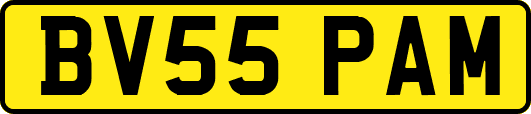 BV55PAM