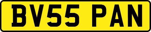 BV55PAN