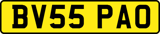 BV55PAO