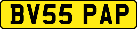 BV55PAP