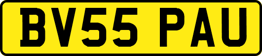 BV55PAU