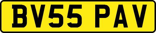 BV55PAV