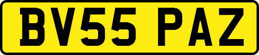BV55PAZ