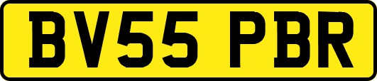 BV55PBR