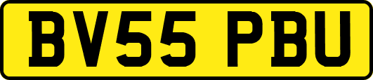 BV55PBU