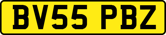 BV55PBZ