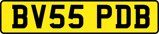 BV55PDB