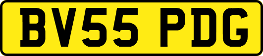 BV55PDG