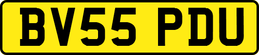 BV55PDU
