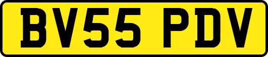 BV55PDV
