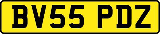 BV55PDZ