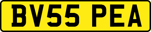 BV55PEA