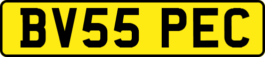 BV55PEC