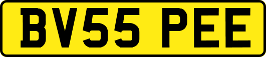 BV55PEE