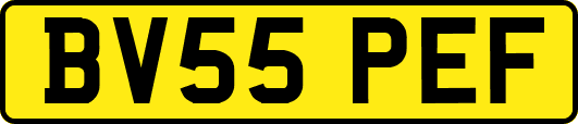 BV55PEF
