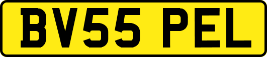 BV55PEL