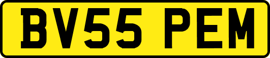 BV55PEM