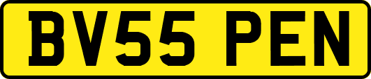 BV55PEN