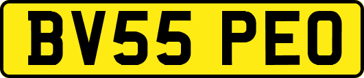 BV55PEO