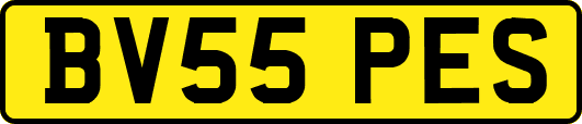 BV55PES