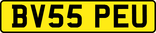 BV55PEU