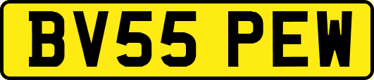 BV55PEW
