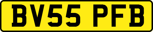 BV55PFB