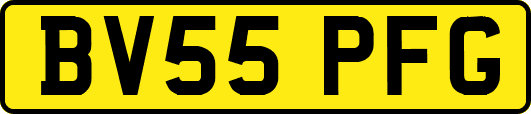 BV55PFG