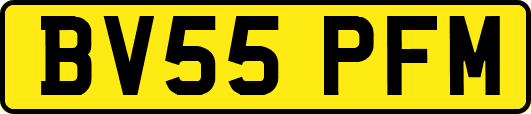 BV55PFM
