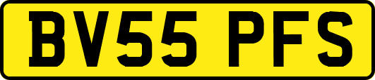 BV55PFS