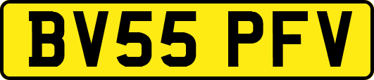 BV55PFV