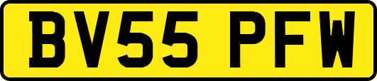 BV55PFW