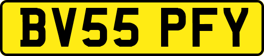 BV55PFY