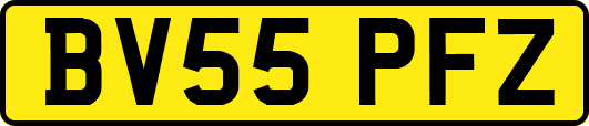 BV55PFZ