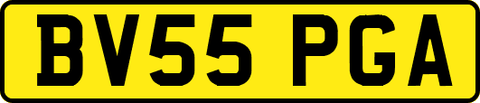 BV55PGA