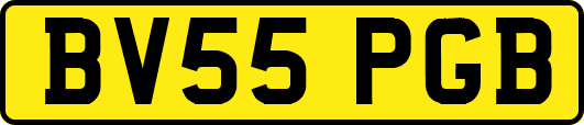 BV55PGB