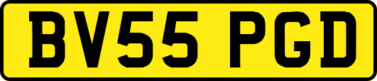 BV55PGD