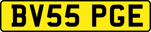 BV55PGE