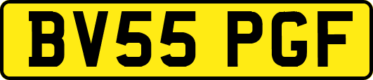 BV55PGF