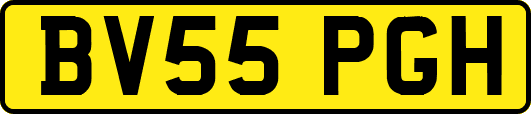 BV55PGH