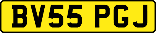 BV55PGJ