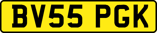 BV55PGK