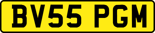 BV55PGM