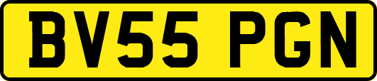 BV55PGN