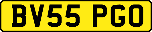 BV55PGO