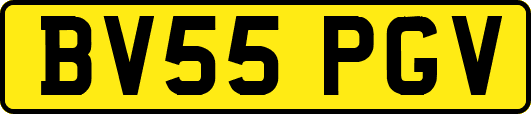 BV55PGV
