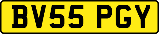 BV55PGY